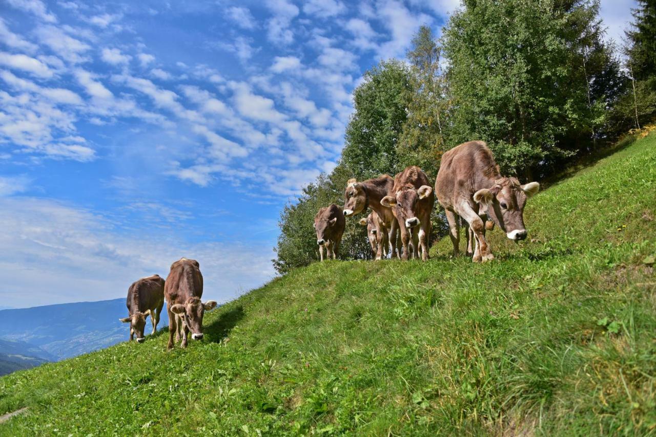 Apartmán Obererhof Sant'Andrea in Monte Exteriér fotografie